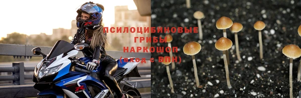 ешки Алзамай