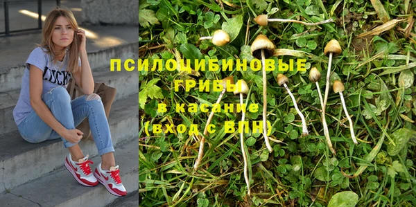 соль ск Алексеевка