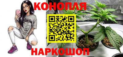 бошки Тара