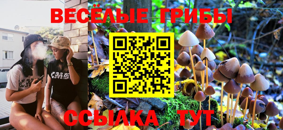 Галлюциногенные грибы Psilocybine cubensis  Вход с VPN  Псилоцибиновые грибы Psilocybe  Туймазы 